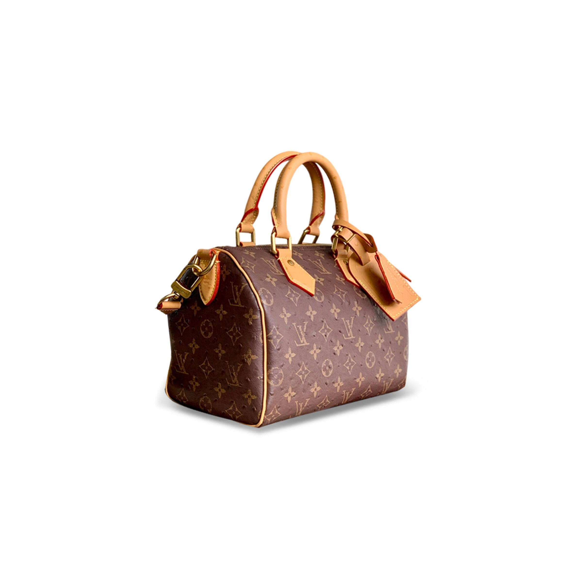 l0vis Vvtt0n master speedy p9 bandouliÈre 25 m24437 (25*15*15cm)